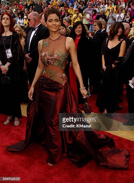 Halle Berry during The 74th Annual Academy Awards - Arrivals at Kodak Theater in Hollywood, California, United States.