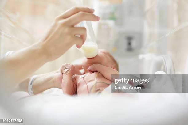 premature baby girl in incubator - baby bottle ストックフォトと画像