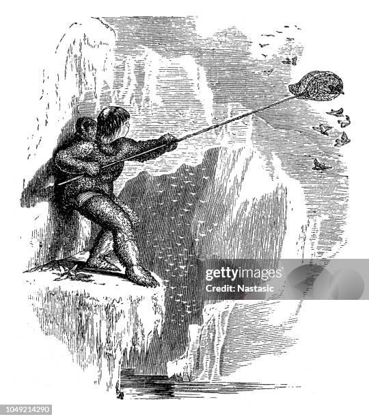 eskimo/inuit, catching birds from the rock cliffs - igloo stock illustrations