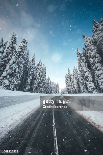 hiver les conditions - route sapin neige photos et images de collection