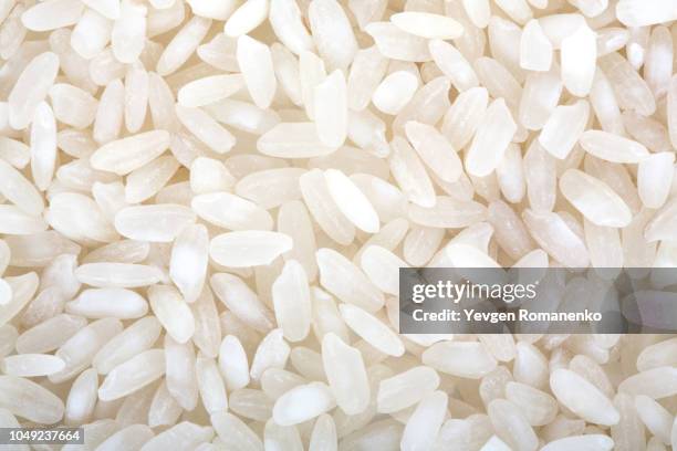 white rice background - 稲 ストックフォトと画像