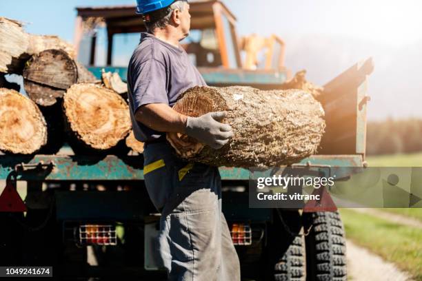 man loading trailer with firewood - lumber industry stock pictures, royalty-free photos & images