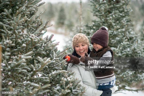 hanging an ornament - christmas tree farm stock pictures, royalty-free photos & images