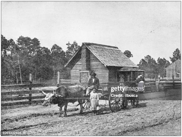 ilustraciones, imágenes clip art, dibujos animados e iconos de stock de fotografía antigua: granja en estados unidos del sur - black history in the us