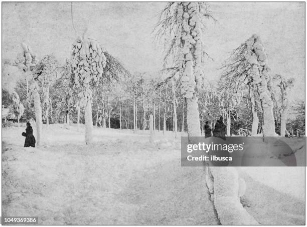 antique photograph: prospect park, niagara - prospect park brooklyn stock illustrations