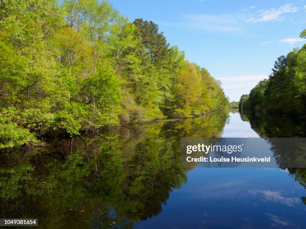 great dismal swamp canal in spring - atlantic intracoastal waterway stock pictures, royalty-free photos & images