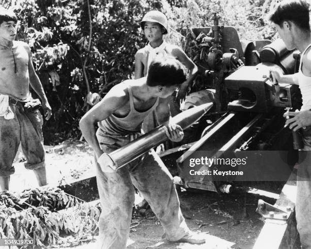 South Korean gun crew preparing to fire a 105 mm Howitzer in support of the 1st Korean Infantry Division, during the Korean War, 12th August 1950.