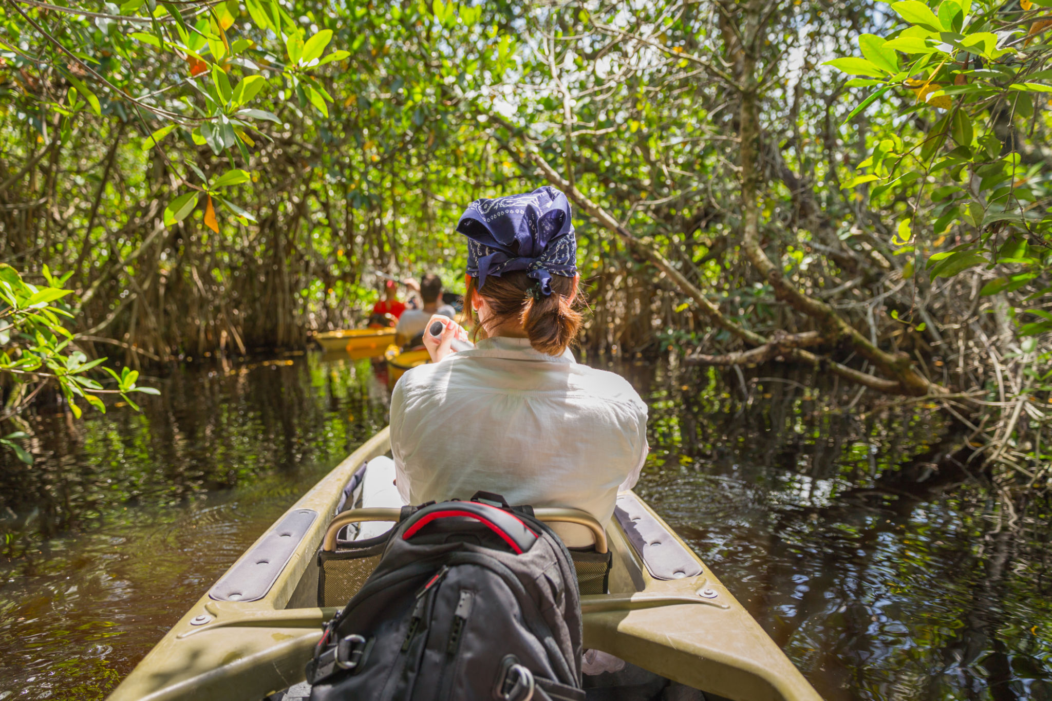 kayaking mangroves