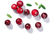 Cranberries v. oxycoccus, top view, paths