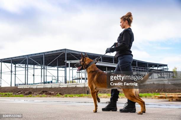 eine weibliche k-9-sicherheitsexperte mit eine belgische malinois auf der hut. - belgian malinois stock-fotos und bilder