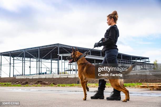 a female k-9 security professional with a belgian malinois on guard. - guard dog stock pictures, royalty-free photos & images