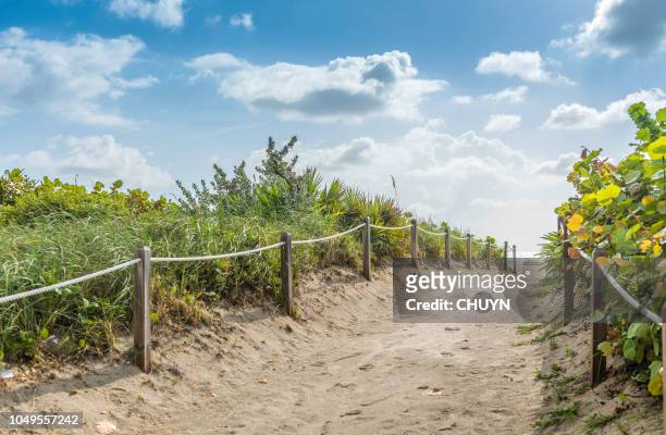 quiet beach - stakes in the sand stock pictures, royalty-free photos & images