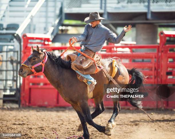 Bronc Rider Animals 2,358 Bronco Animal Stock Photos, High-Res Pictures, and Images - Getty ...
