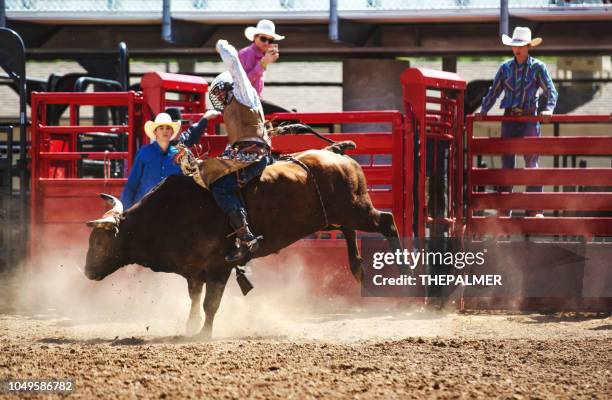 1,312 Rodeo Bullfighter Stock Photos, High-Res Pictures, and Images ...