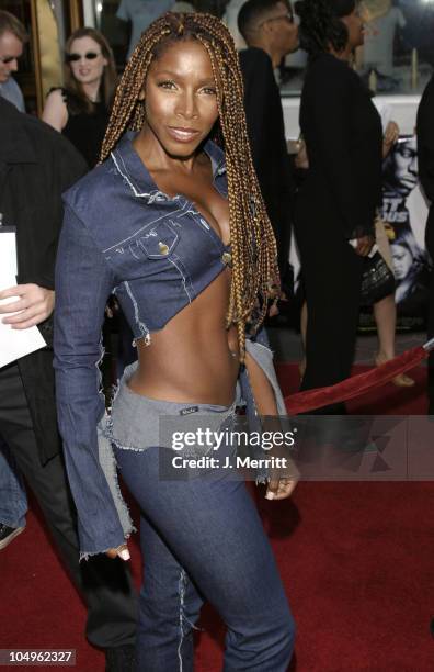 Adrienne-Joi Johnson during World Premiere of "2 Fast 2 Furious" at Universal Amphitheatre in Universal City, California, United States.