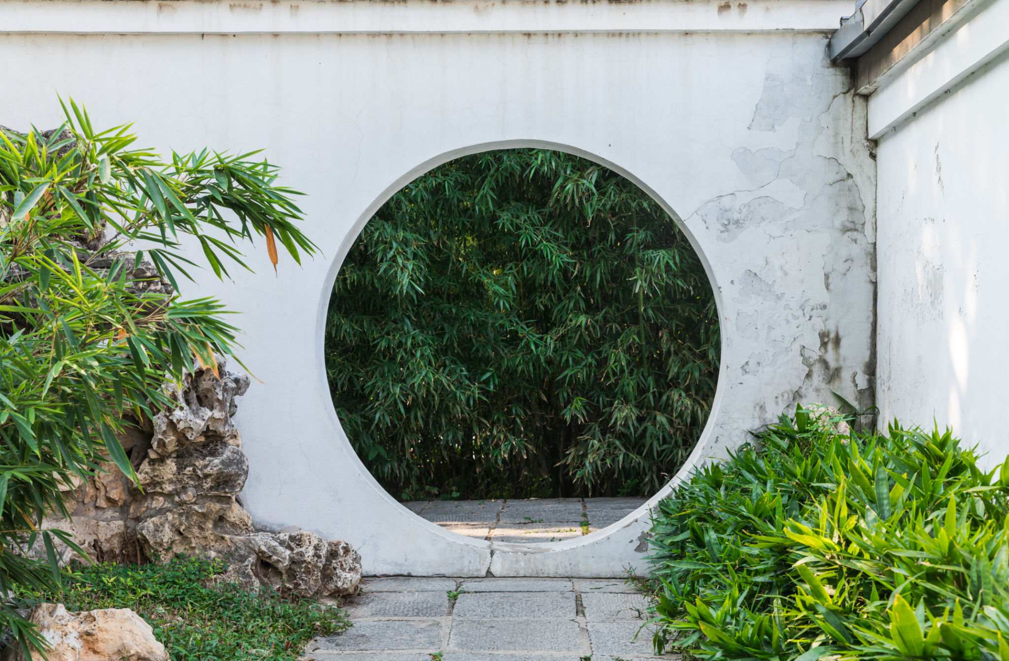 suzhou gardens