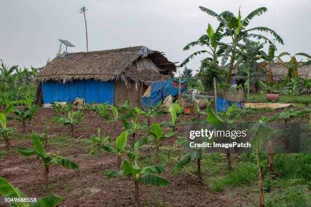 technology contrast with very basic makeshift farmers hut with solar panel and tv on asian farm - makeshift shelter stock pictures, royalty-free photos & images