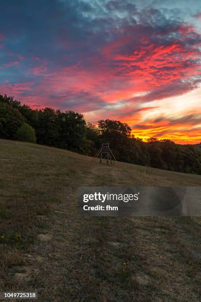 Sunet 72 Summer Sunet Stock Photos, High-Res Pictures, and Images - Getty Images