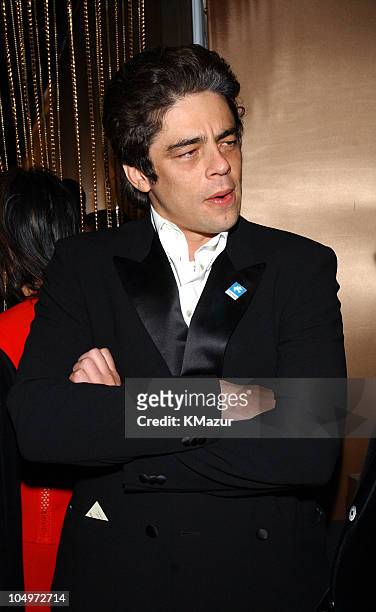 Benicio Del Toro during The 10th Annual Elton John AIDS Foundation InStyle Party - Inside at Moomba Restaurant in Hollywood, California, United...