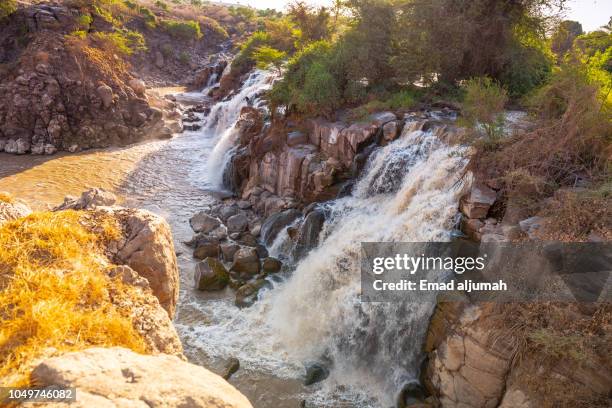 Awash Water Fall 43 Awash Falls Stock Photos, High-Res Pictures, and Images - Getty Images