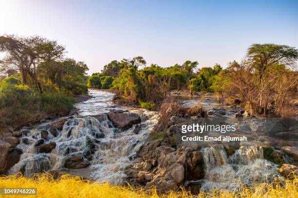 awash national park, ethiopia - falling water flowing water stock pictures, royalty-free photos & images