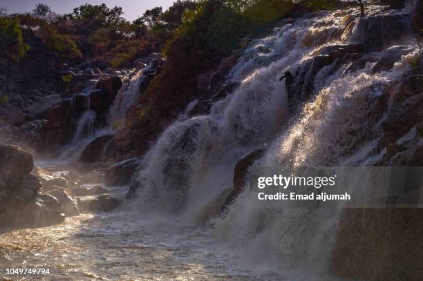Awash Water Fall 43 Awash Falls Stock Photos, High-Res Pictures, and Images - Getty Images