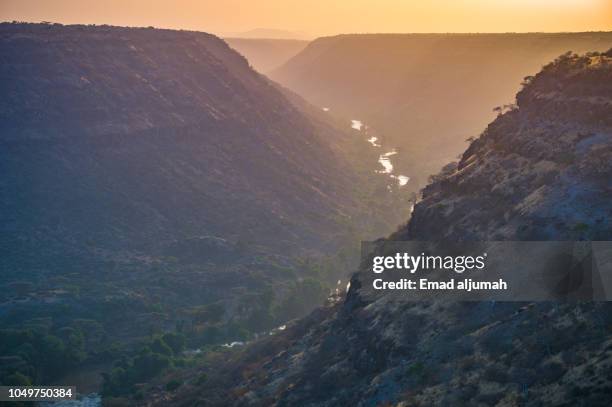 awash national park, ethiopia - rift valley stock pictures, royalty-free photos & images