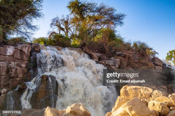 Awash Water Fall 43 Awash Falls Stock Photos, High-Res Pictures, and Images - Getty Images