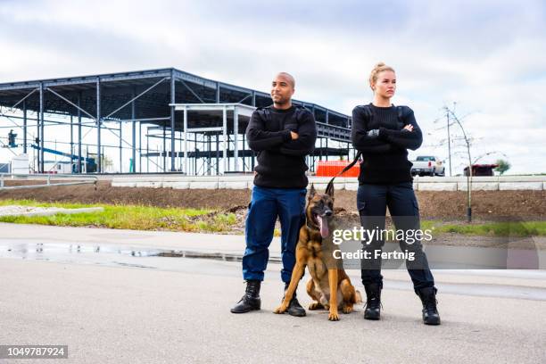 twee k-9 veiligheidsfunctionarissen met een mechelse op wacht. - waakhond stockfoto's en -beelden