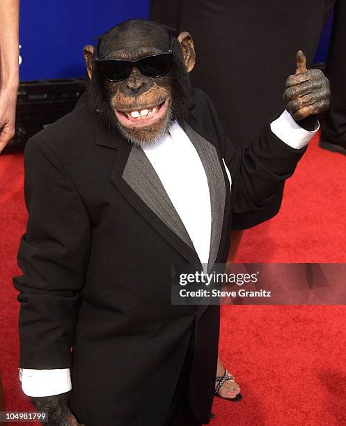 Jona during 2002 World Stunt Awards at Barker Hanger in Santa Monica, California, United States.