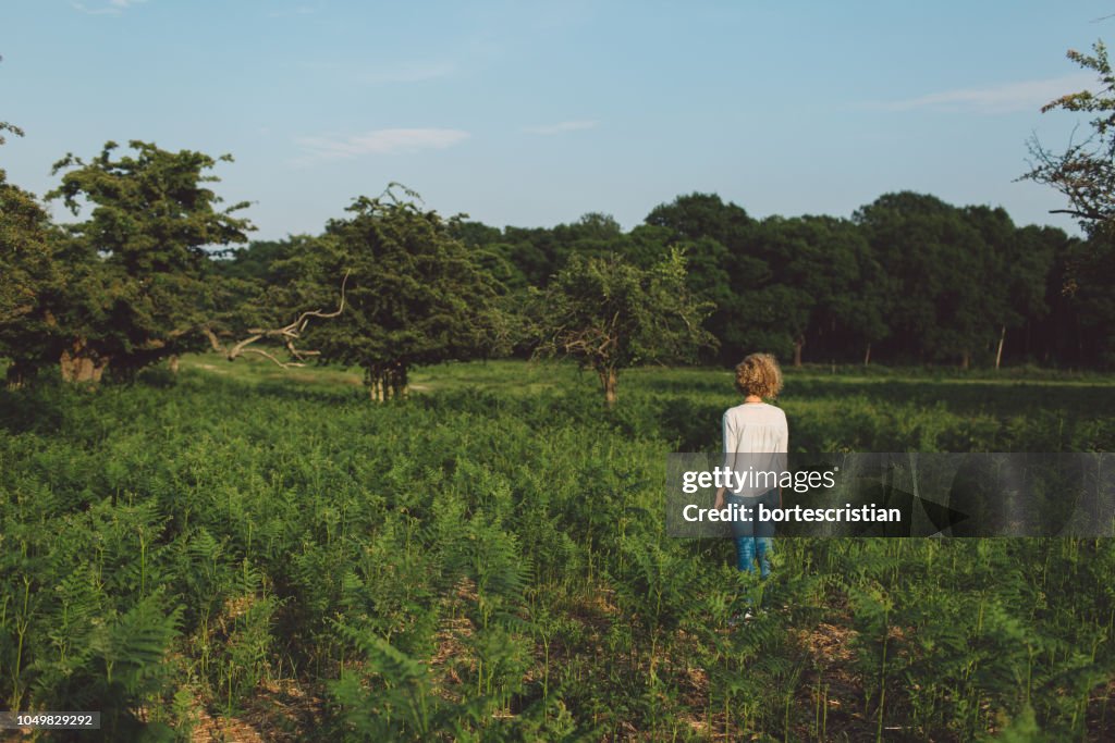 Rear View Of Mid Adult Woman Standing Amidst Plants On Field