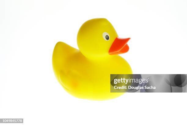 duck toy on a white background - toy animal bildbanksfoton och bilder