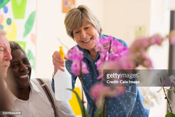active seniors enjoying flower arranging class - orchid order stock pictures, royalty-free photos & images
