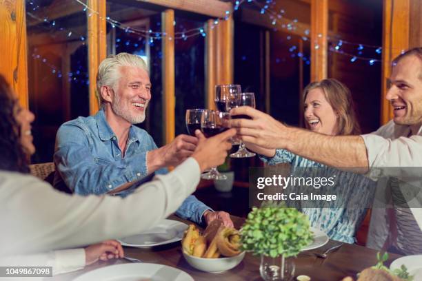 friends celebrating, drinking red wine and enjoying dinner in cabin - indian ethnicity south africa stock pictures, royalty-free photos & images