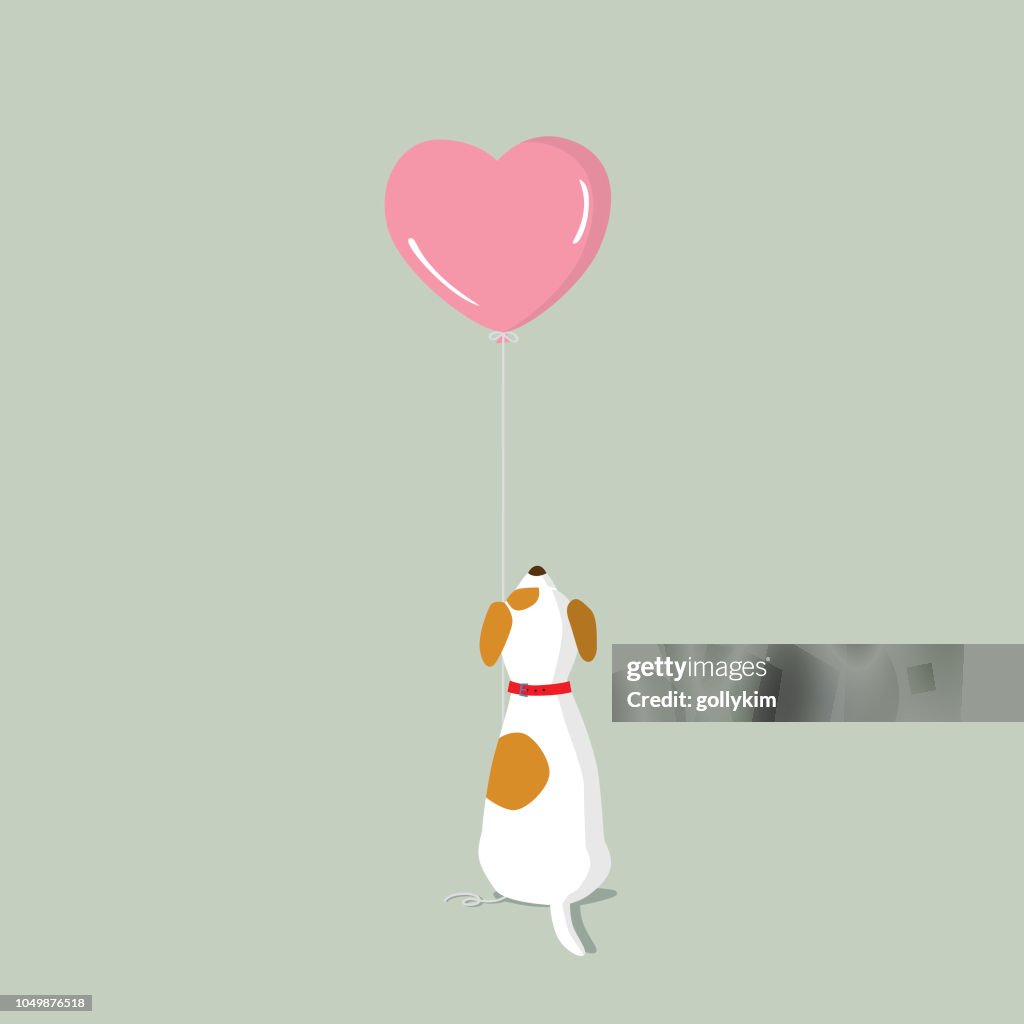 Cucciolo di Jack Russell Terrier con palloncino all'elio a forma di cuore rosa