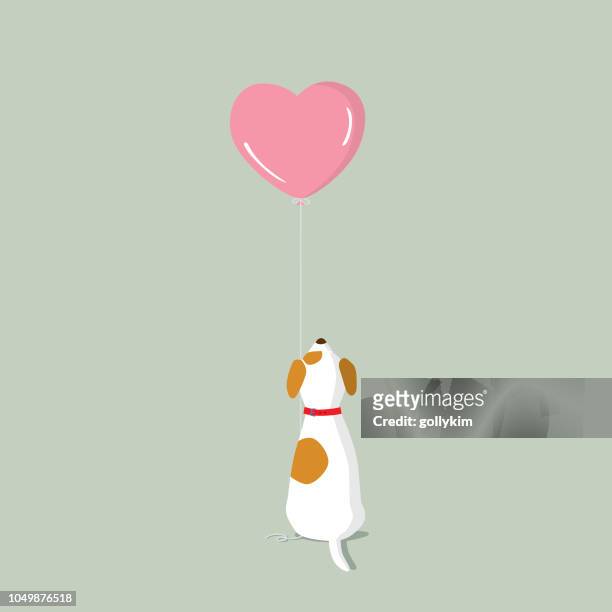 illustrazioni stock, clip art, cartoni animati e icone di tendenza di cucciolo di jack russell terrier con palloncino all'elio a forma di cuore rosa - carino