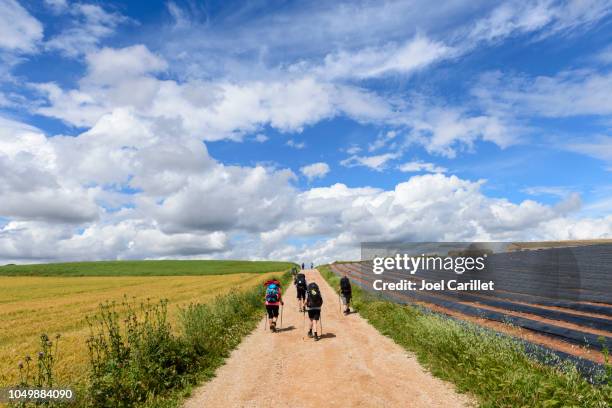 pellegrini che camminano sul camino de santiago nella regione spagnola della navarra - pilgrim foto e immagini stock