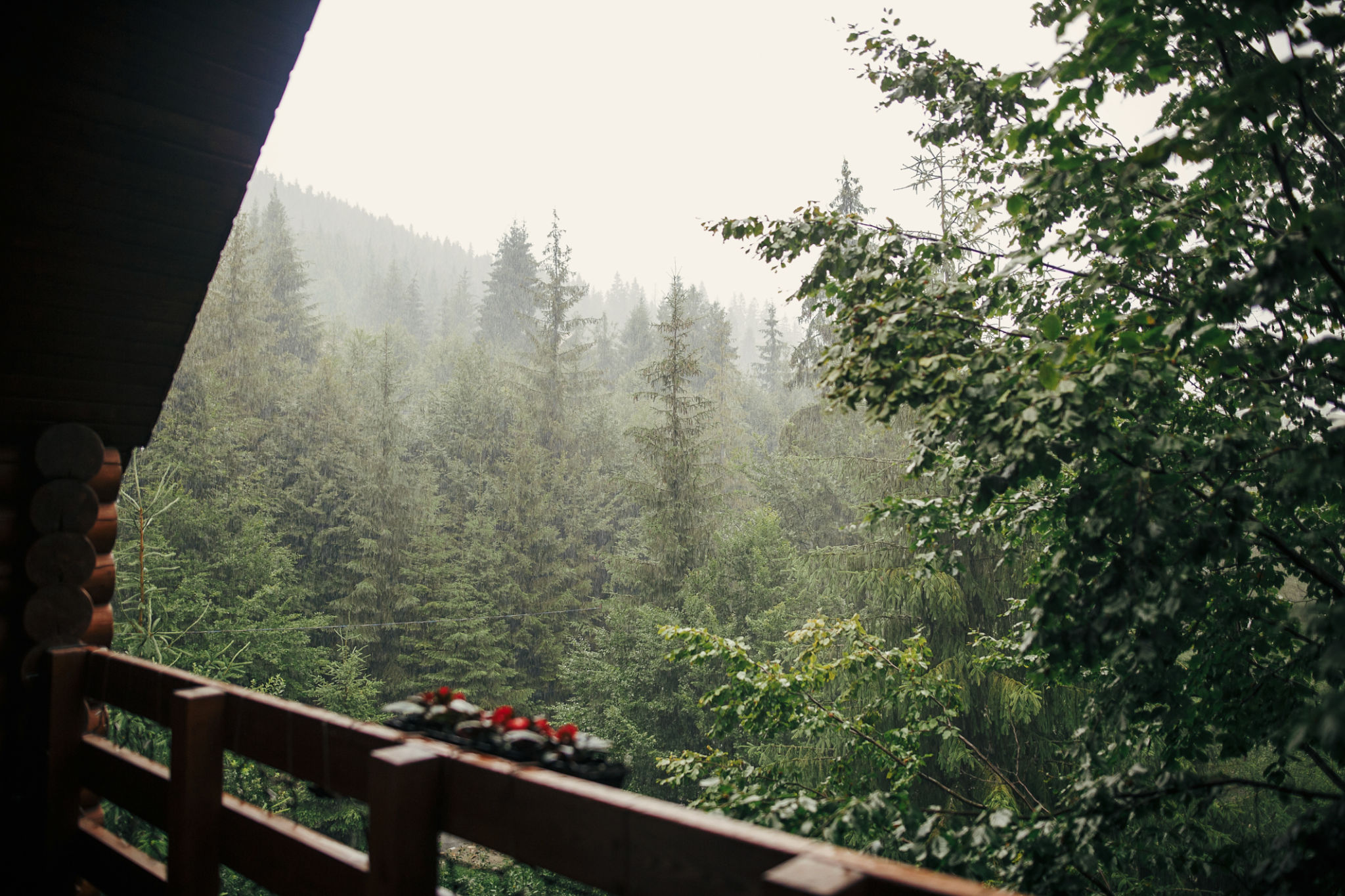 view from wooden cottage porch on rainy woods in mountains. misty forest. relaxing in cabin. calm peaceful moments view from wooden cottage porch on rainy woods in mountains. misty forest. relaxing in cabin. calm peaceful moments