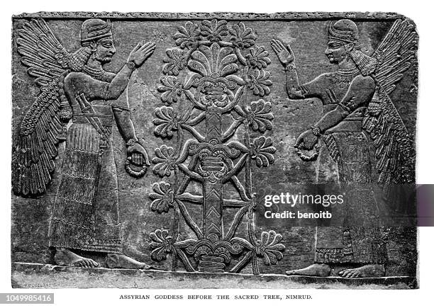 ilustrações, clipart, desenhos animados e ícones de deusa assíria antes a árvore sagrada - mesopotamian art