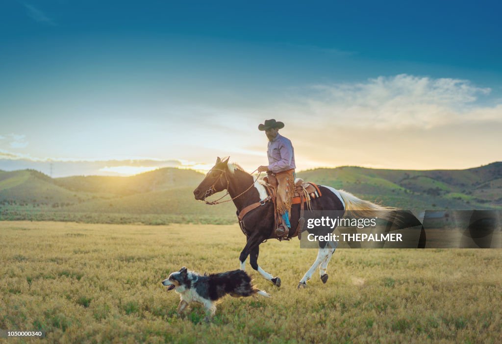 Centre Equestre de cow-boy Senior
