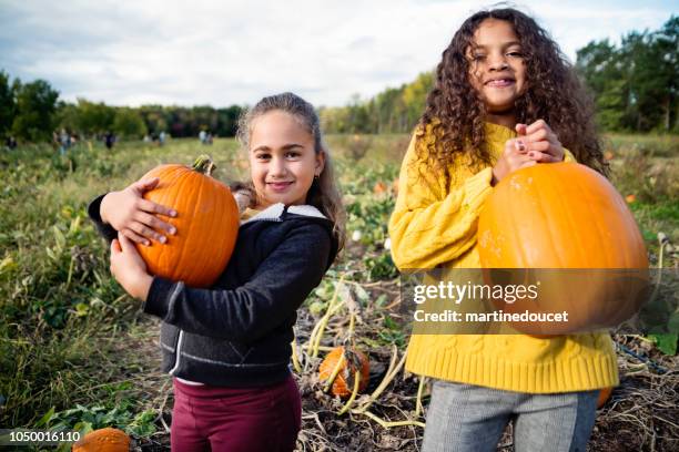 twee kleine meisjes plukken pompoenen in veld. - pompoenenveld stockfoto's en -beelden