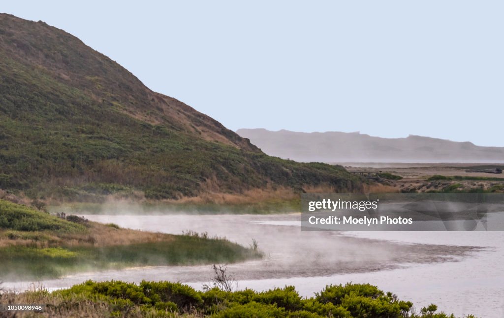 Mist - Abbots Lagoon Trail