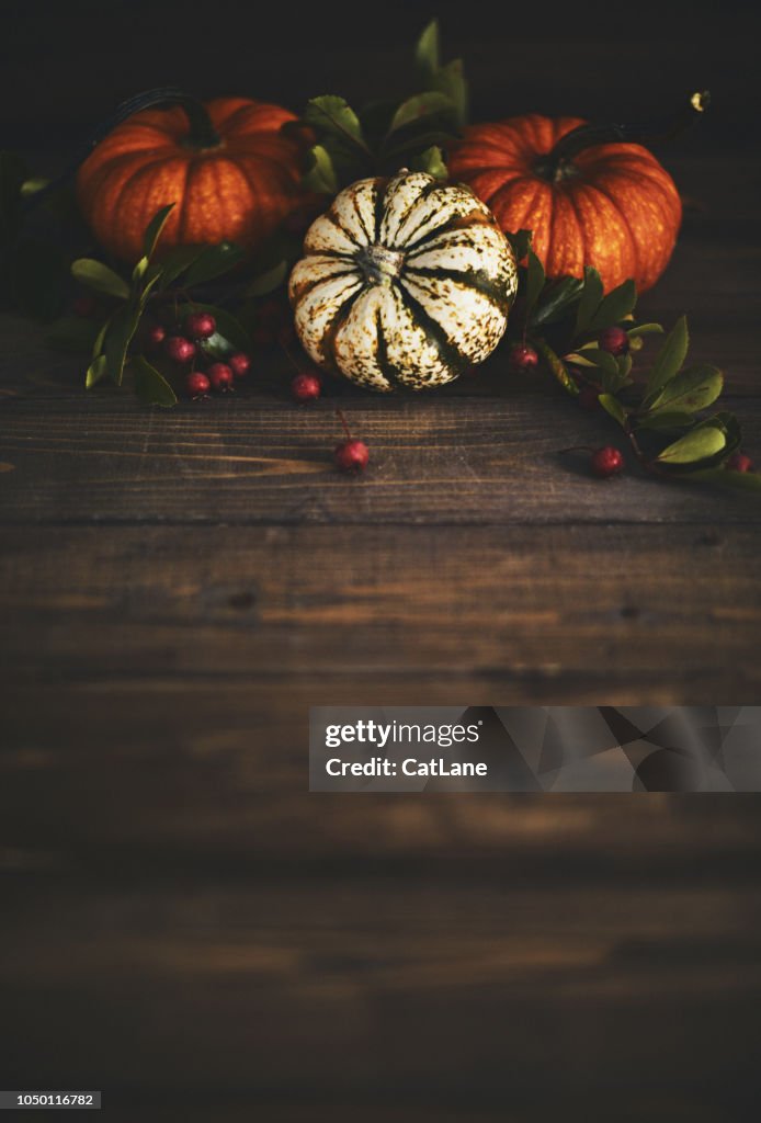 Thanksgiving background with pumpkin variety and berries