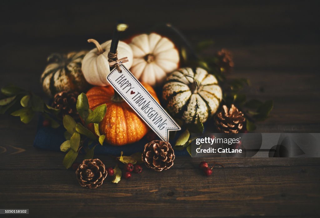 Kürbis-Sortiment Stillleben und Happy Thanksgiving Nachricht