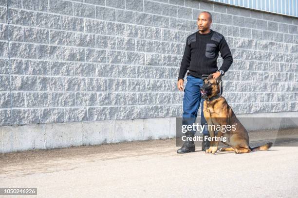 eine echte, ausgebildete k-9-handler mit seinem hund - police dog stock-fotos und bilder