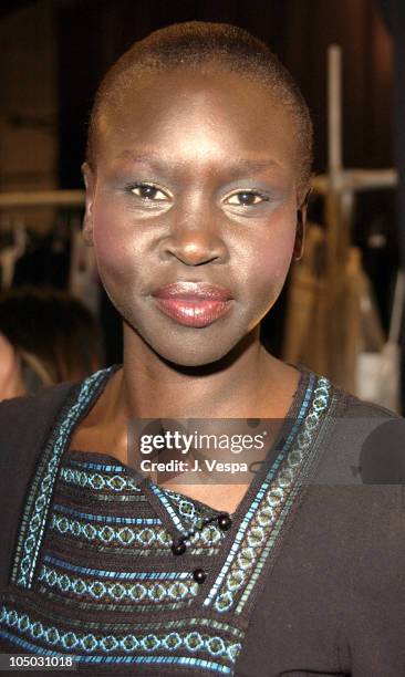 Alek Wek during Mercedes Benz Fashion Week Fall 2003 Collections - Luca Luca - Front Row at Bryant Park in New York City, New York, United States.