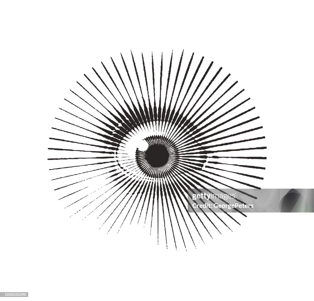 Gros plan de le œil avec expression effrayée