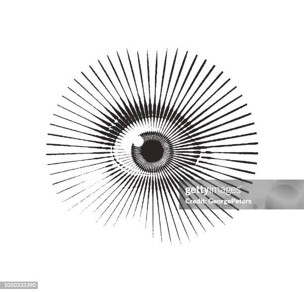 stockillustraties, clipart, cartoons en iconen met close-up van oog met angstige uitdrukking - etsen