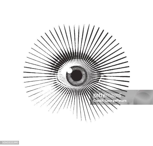 close up of eye with frightened expression - human eye stock illustrations