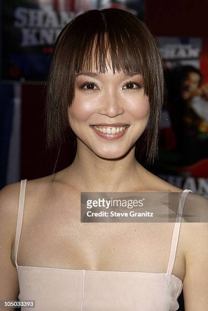 Fann Wong during "Shanghai Knights" Premiere - Hollywood at The El Capitan Theatre in Hollywood, California, United States.